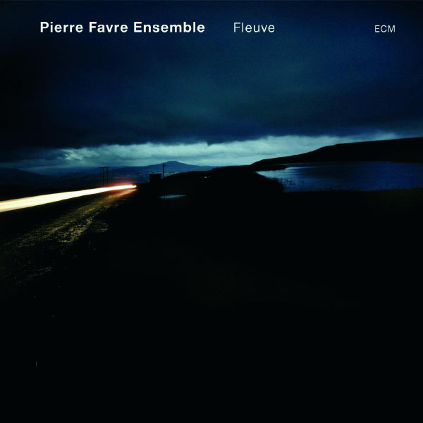 Pierre Favre Ensemble "Fleuve"