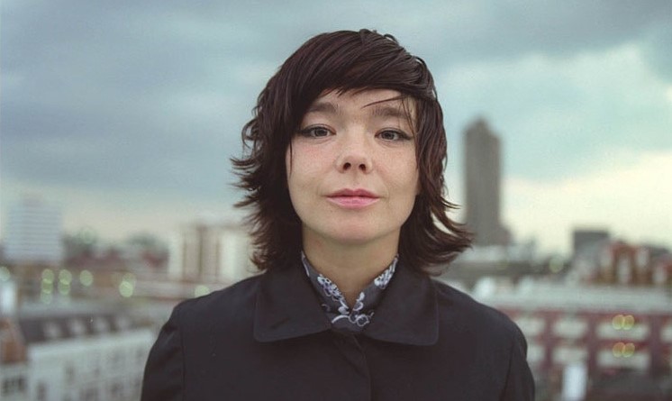 Björk "Homogenic"